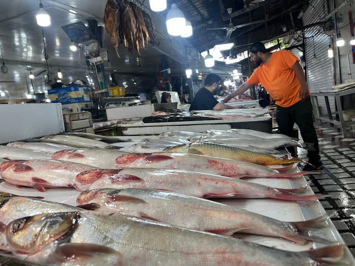 تصویر بازار ماهی در بابلسر